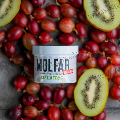 Табак Molfar (Virginia Line) - Ківі-Аґрус (Киви, Крыжовник, Мята) 40г