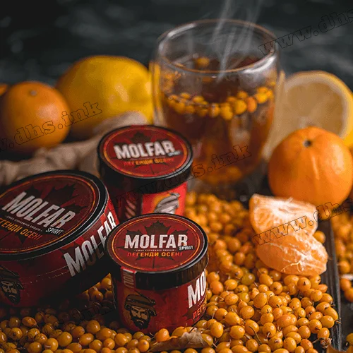 Табак Molfar (Spirit Line) - Легенди Осені (Облепиха, Чай, Имбирь, Юдзу) 40г
