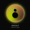 Табак Do You (Ду Ю) - Walnut (Грецкий Орех) 50г