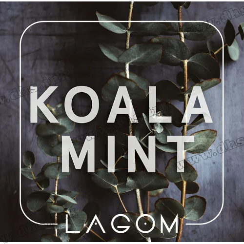 Табак Lagom (Лагом) Main Line - Koala Mint (Орбит, Эвкалипт) 40г