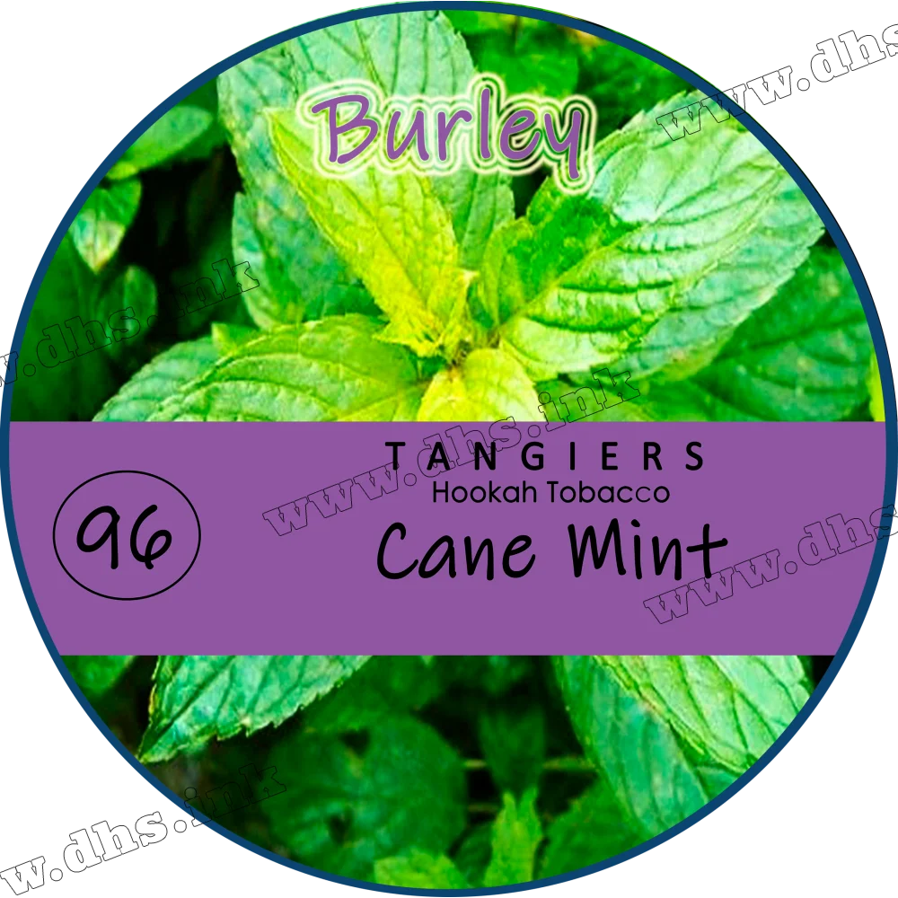 Табак Tangiers (Танжирс) burley - Cane mint Мята 250г